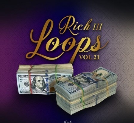 DiyMusicBiz Rich Loops Vol 21 WAV